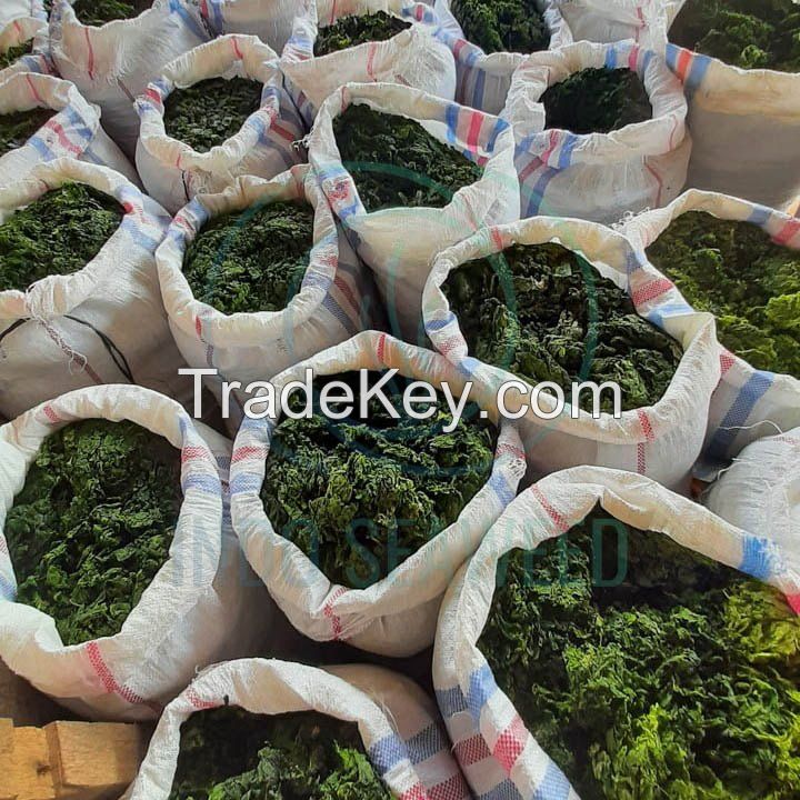 SUN-DRIED SEA LETTUCE / ADDITIVE-FREE / VEGAN FRIENDLY / CLEAN SOURCE