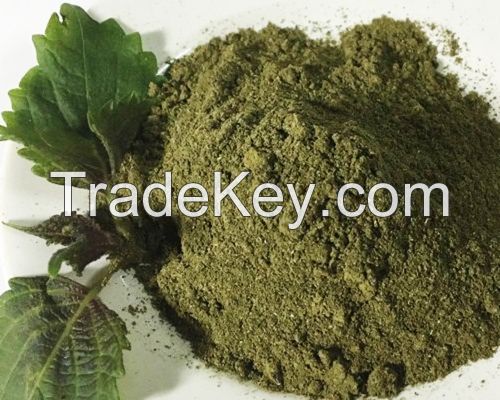 VEGETAL PERILLA POWDER / BOTANICAL GREEN / CLEAN LABEL / FOOD GRADE