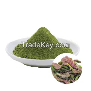 VEGETAL PERILLA POWDER / BOTANICAL GREEN / CLEAN LABEL / FOOD GRADE