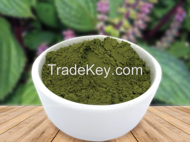 VEGETAL PERILLA POWDER / BOTANICAL GREEN / CLEAN LABEL / FOOD GRADE
