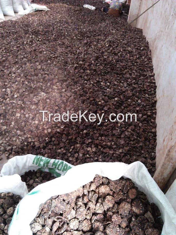 DRIED NONI SLICES / CLEAN LABEL / PLANT-BASED / NATURAL FRUIT FORM
