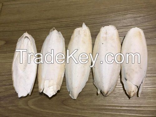 PREMIUM CUTTLEFISH SHELL / SHELL STRENGTH SUPPORT / NO FILLERS / ECO-FRIENDLY