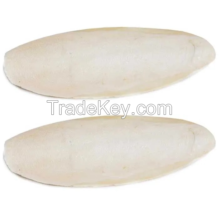 RAW CUTTLEFISH BONE / SHELL REINFORCEMENT / PURE FORMULA / MARINE-BASED