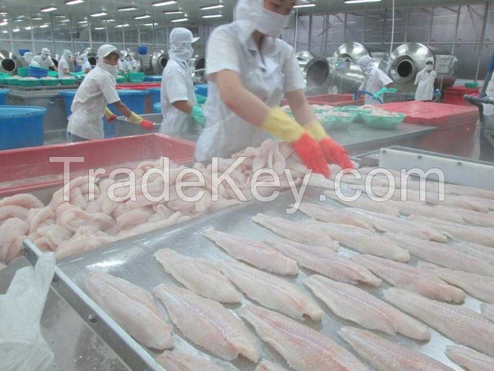 VITALFISH / NATURAL PANGASIUS FILLET / IMMUNE SUPPORT / CLEAN LABEL / ANIMAL PROTEIN