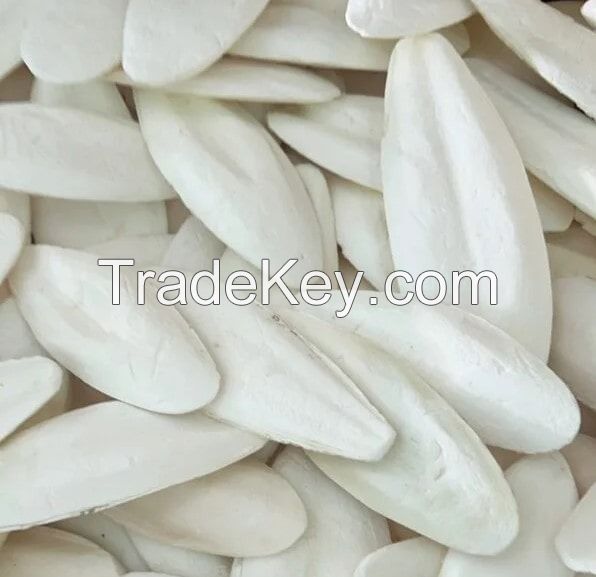 RAW CUTTLEFISH BONE / SHELL REINFORCEMENT / PURE FORMULA / MARINE-BASED