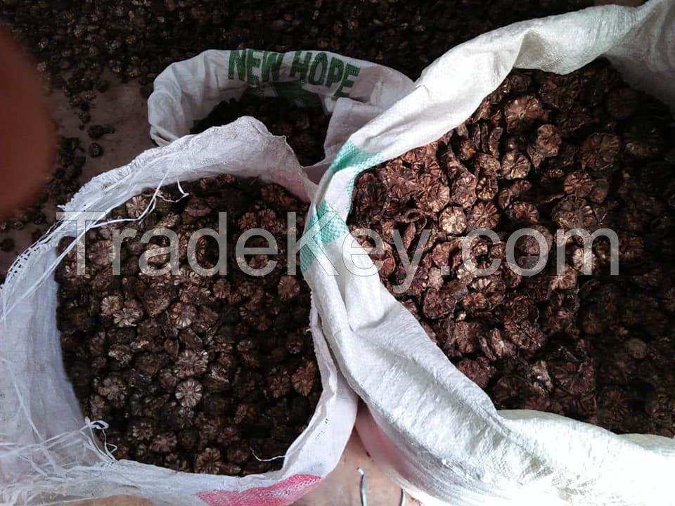 DRIED NONI SLICES / CLEAN LABEL / PLANT-BASED / NATURAL FRUIT FORM
