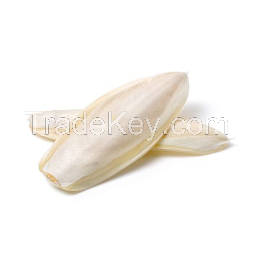 PREMIUM CUTTLEFISH SHELL / SHELL STRENGTH SUPPORT / NO FILLERS / ECO-FRIENDLY