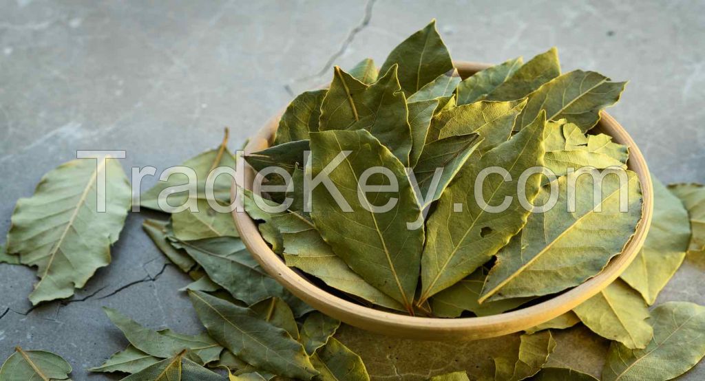 WHOLE BAY LEAF / ADDITIVE-FREE / NON-GMO / COOKING INGREDIENT