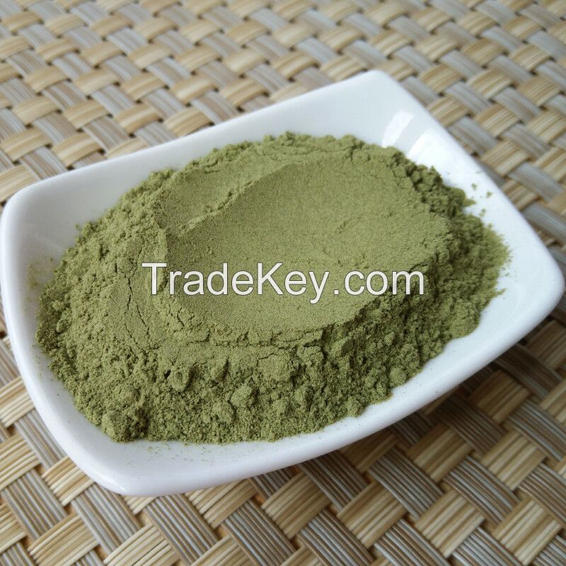CLEAN LABEL CELERY LEAF POWDER / PLANT-DERIVED / NO PRESERVATIVES