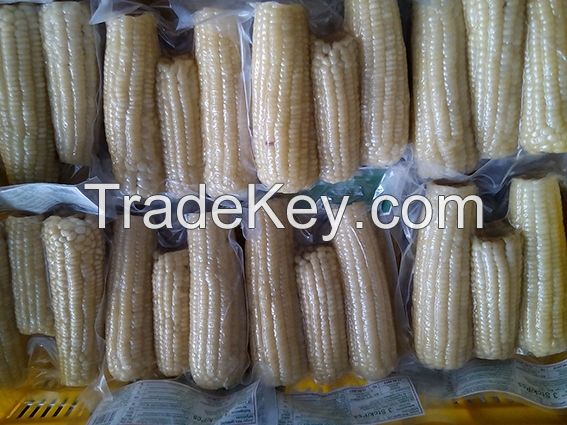 PREMIUM IQF CORN / NON-GMO / NATURAL SWEETNESS / ADDITIVE-FREE