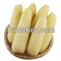 PREMIUM IQF CORN / NON-GMO / NATURAL SWEETNESS / ADDITIVE-FREE