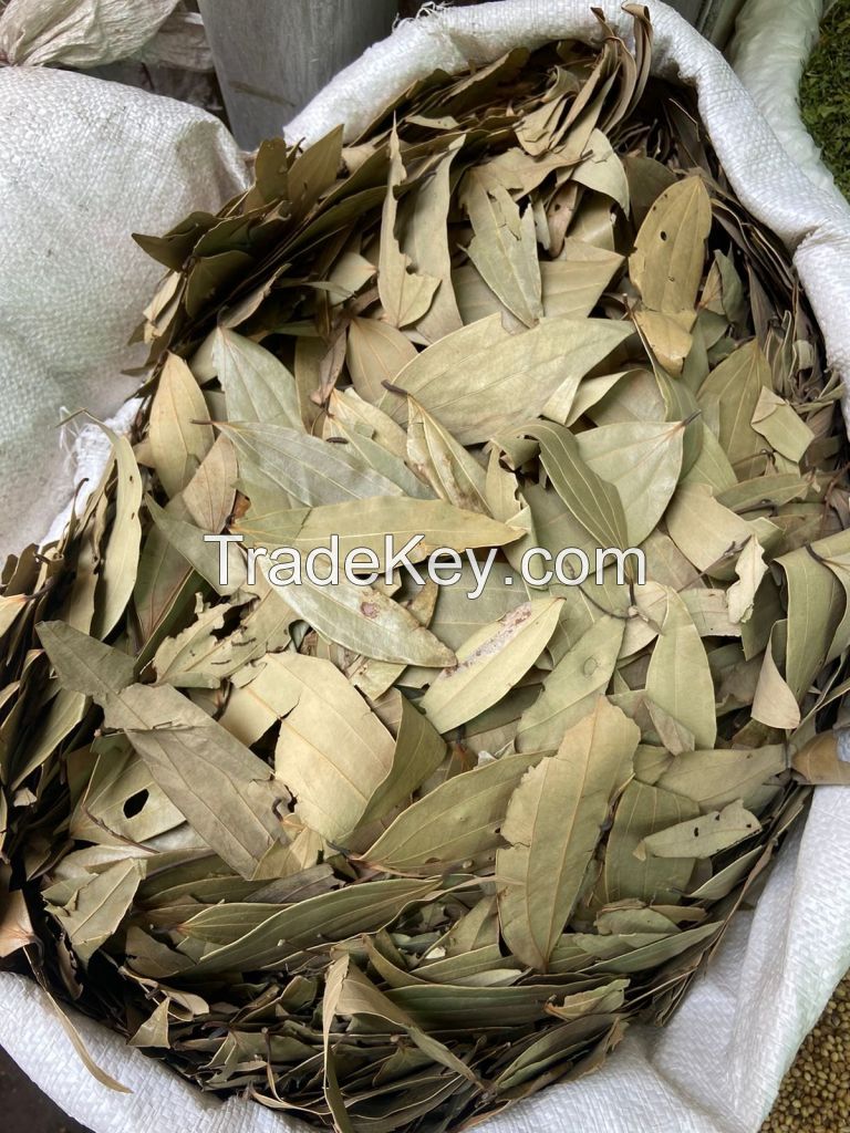 SUN-DRIED BAY LEAVES / NATURAL CULINARY / VEGAN FRIENDLY / NON-GMO