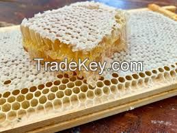WILD HARVESTED HONEYCOMB / NON-GMO / NO ADDITIVES / NATURAL SWEETNESS