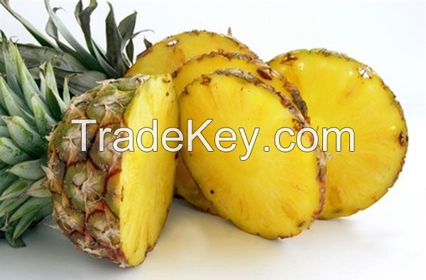 SUN-RIPENED CANNED PINEAPPLE / ENERGY BOOST / CLEAN LABEL / VITAMIN-RICH