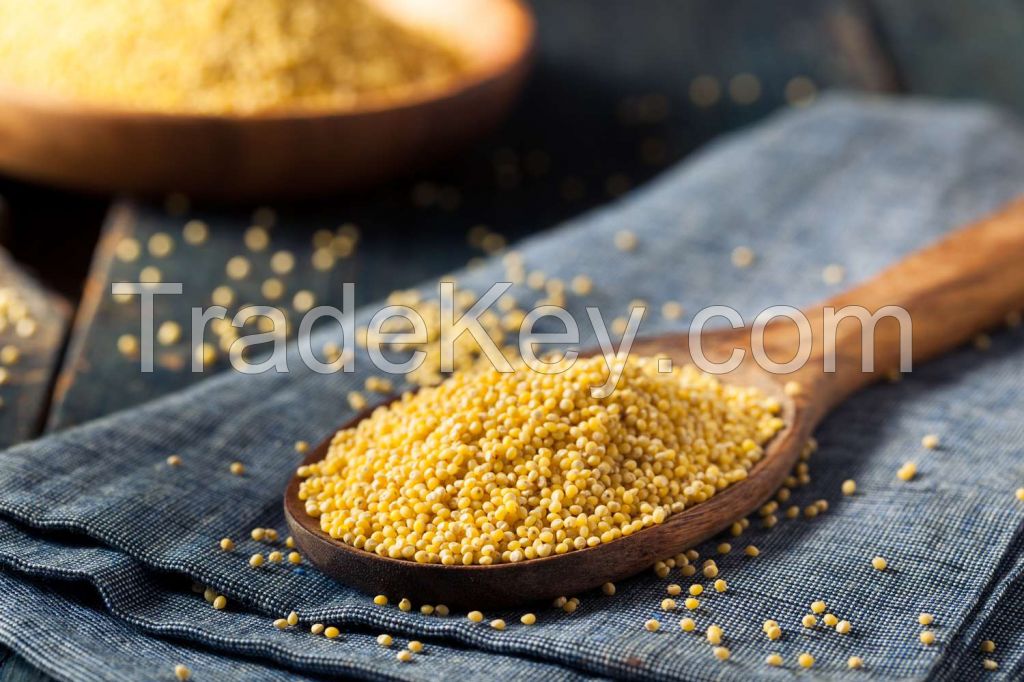 PREMIUM DRIED MILLET / NON-GMO / ADDITIVE-FREE / HIGH QUALITY
