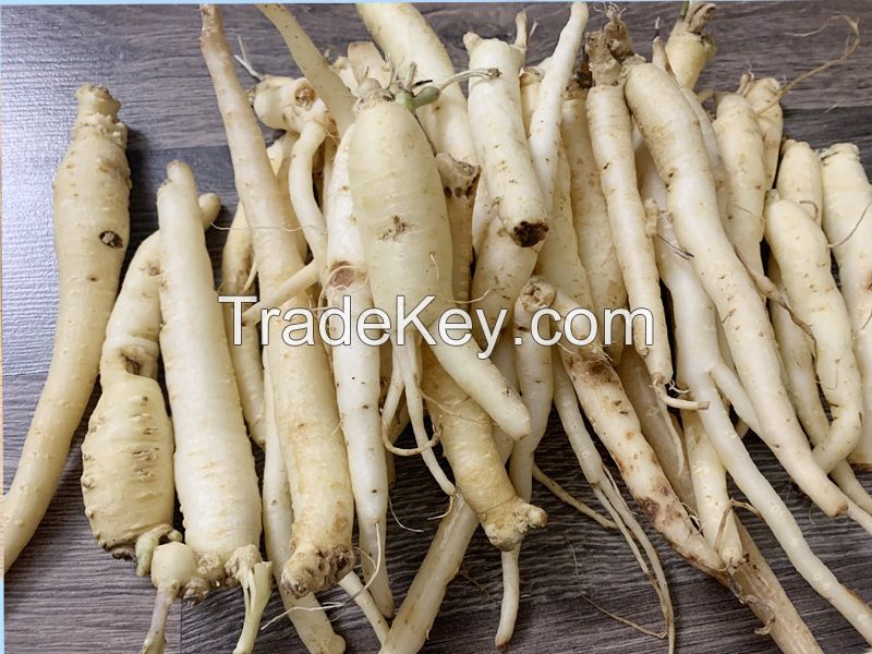 DANG SHEN / PURE ROOT / NON-GMO / NATURAL GRADE