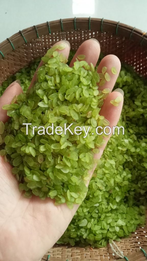 NATURAL STICKY RICE FLAKES / CLEANLY PROCESSED / WHOLE GRAIN ORIGIN