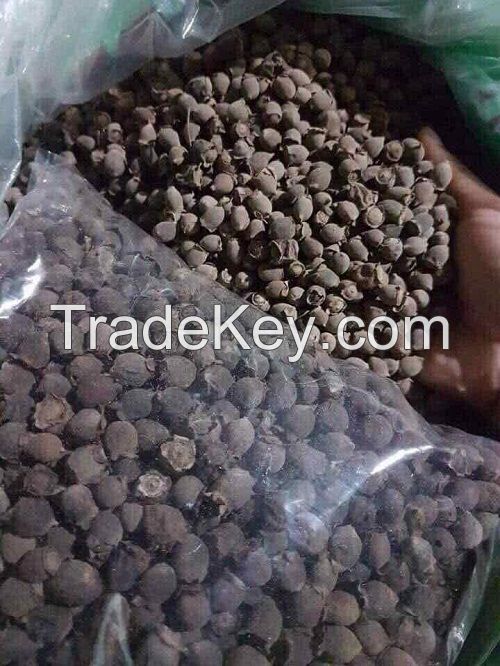 MYRTLE BERRY SUPERFOOD / NATURAL ANTIOXIDANT / CLEAN LABEL / NON-GMO