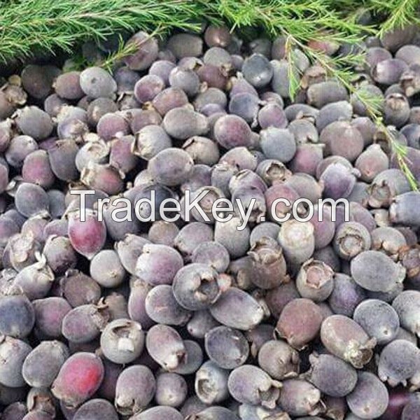 MYRTLE BERRY SUPERFOOD / NATURAL ANTIOXIDANT / CLEAN LABEL / NON-GMO