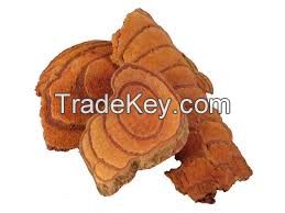 SPATHOLOBI BOOST / CIRCULATORY SUPPORT / HERBAL CLEAN LABEL / HIGH FLAVONOIDS