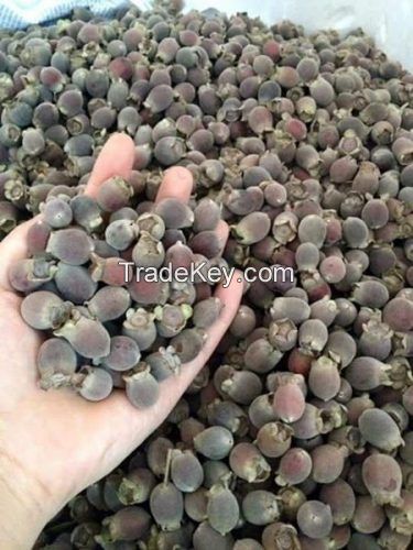 MYRTLE BERRY SUPERFOOD / NATURAL ANTIOXIDANT / CLEAN LABEL / NON-GMO