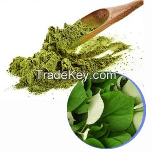 NATURAL RAMIE LEAF POWDER / CLEAN LABEL / DETOX FRIENDLY / FIBER-RICH