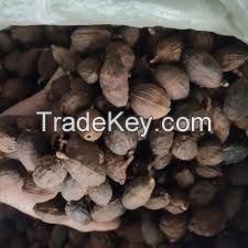 PREMIUM VIETNAM CARDAMOM / PLANT-DERIVED / ADDITIVE-FREE / FOOD-GRADE