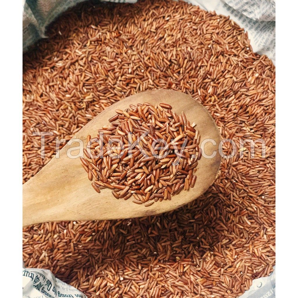 DRIED BROWN RICE / CLEAN LABEL / PLANT-BASED / WHOLE GRAIN INGREDIENT