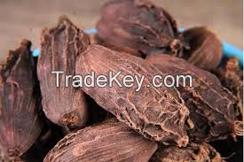 VIETNAM NATURAL CARDAMOM / WILD SOURCE / CLEANLY DRIED / EXPORT QUALITY