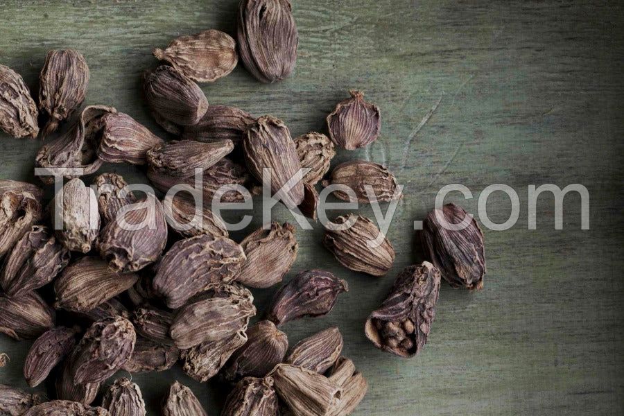 PREMIUM VIETNAM CARDAMOM / PLANT-DERIVED / ADDITIVE-FREE / FOOD-GRADE