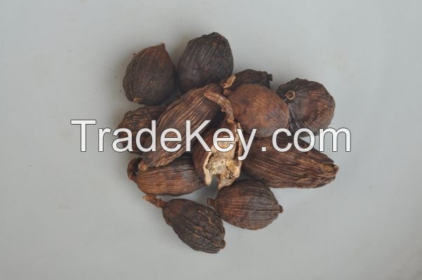 PREMIUM VIETNAM CARDAMOM / PLANT-DERIVED / ADDITIVE-FREE / FOOD-GRADE