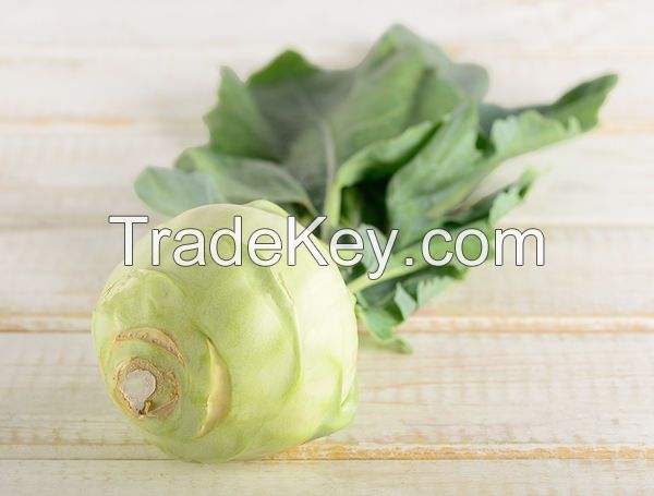 KOHLRABI FREEZE / FRESHLY FROZEN / RICH IN ANTIOXIDANTS / FARM TO FREEZER