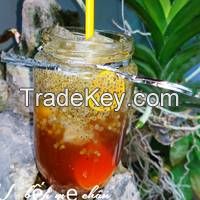 BASILLIFE BEVERAGE / SUPERFOOD INFUSION / PLANT-BASED / DETOX SUPPORT