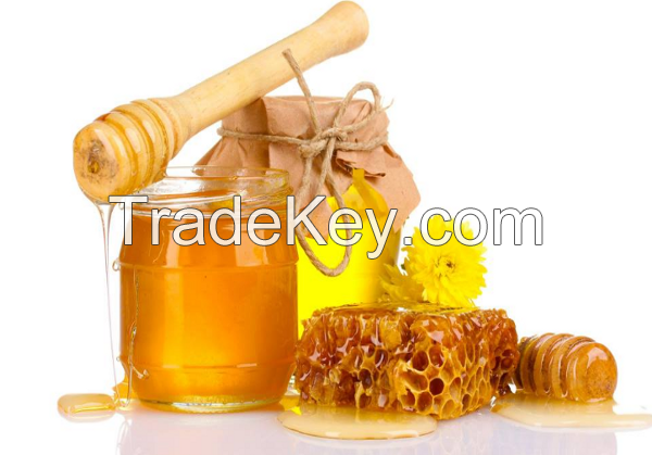 BEE HONEY / HIGH IN VITAMINS, GOOD FOR HEALTH / RAW, PURE, NO CHEMICALS