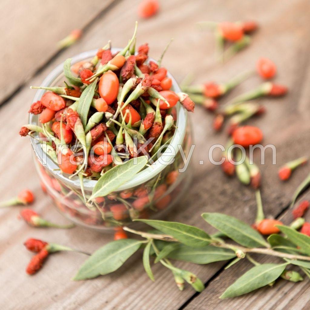 RAW GOJI BERRIES / RICH IN AMINO ACIDS, MINERALS / FRESH, SLIGHTLY TANGY / PRODUCT OF VIETNAM