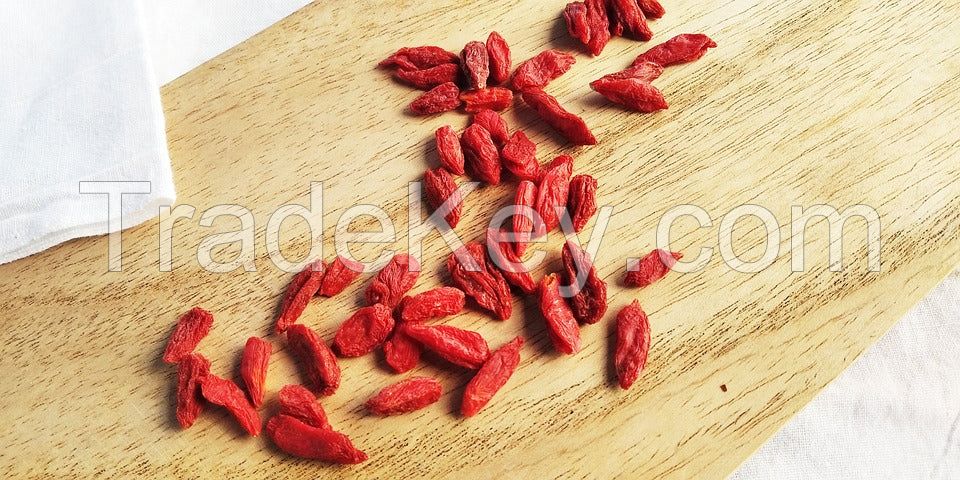 RAW GOJI BERRIES / RICH IN AMINO ACIDS, MINERALS / FRESH, SLIGHTLY TANGY / PRODUCT OF VIETNAM