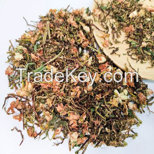 VIETNAMESE FOREST TEA / SON MAT FORMULA / SWEET INFUSION