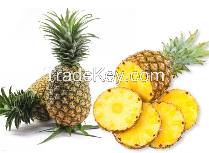 DRIED PINEAPPLE