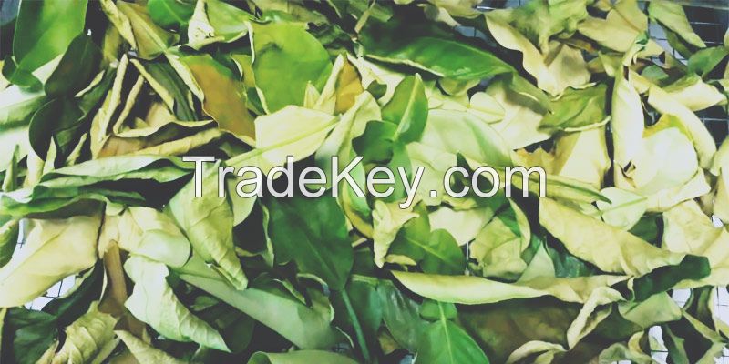 PURE DRIED LIME LEAF, CLEAN LABEL