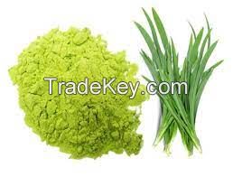 BOTANIBRIGHT PANDAN POWDER