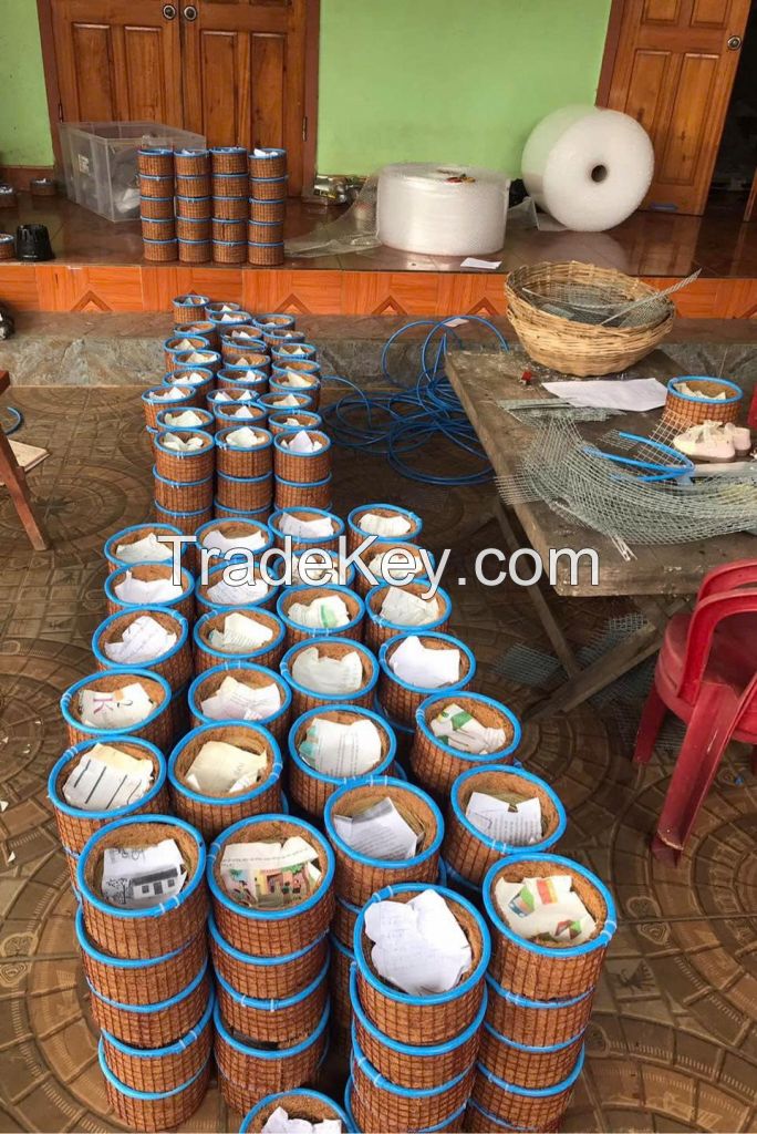 DAILY IMMUNE SUPPORT NEST CUP FROM NATURAL COCONUT FIBER AND HERBAL LEAVES