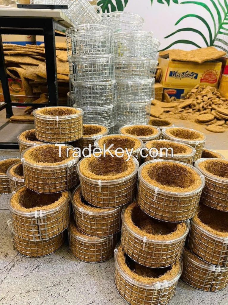 DAILY IMMUNE SUPPORT NEST CUP FROM NATURAL COCONUT FIBER AND HERBAL LEAVES