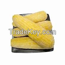 PREMIUM GOLD CORN / FROZEN FRESH / WHOLE PLANT SOURCE