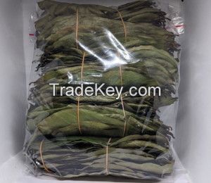 AIR-DRIED SOURSOP LEAF / NATURAL SOURCE / CLEAN PLANT / TEA FRIENDLY