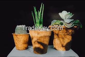 NATURAL COCONUT FIBER GARDEN POT FOR ORGANIC HERBAL GROWTH AND EARTH FRIENDLY NURSERY PROPAGATION SYSTEMS