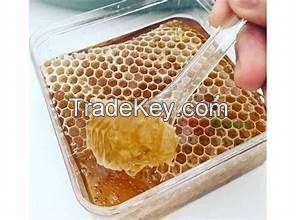 RAW HONEY COMB FOR FUNCTIONAL FOODS CLEAN EATING AND BOTANICAL HEALTH APPLICATIONS