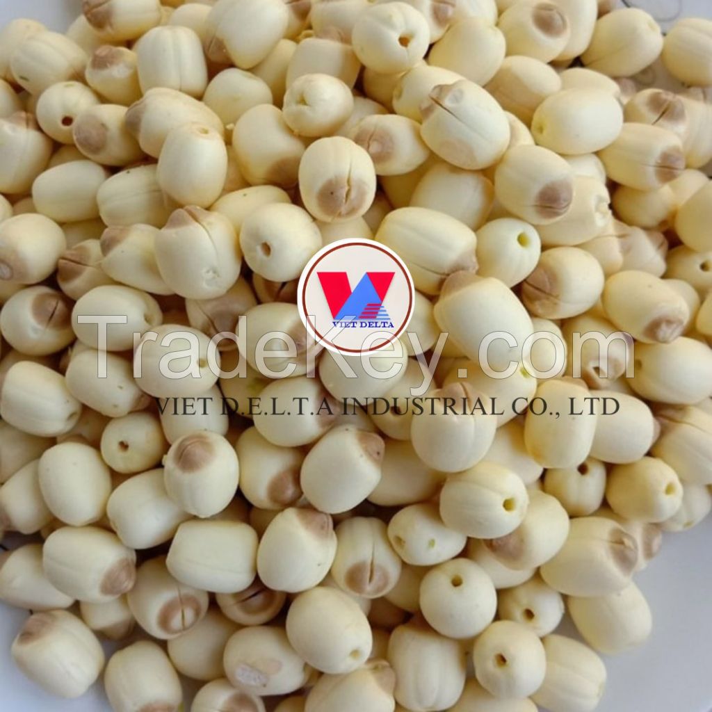 ALL NATURAL LOTUS SEED FROM VIETNAM FOR READY TO EAT HEALTHY SNACKS HERBAL DRINKS AND B2B WHOLESALE BUYERS