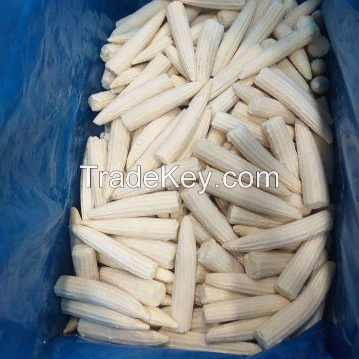 IQF BABY CORN FOR FROZEN FOOD EXPORTERS VEGETABLE PROCESSORS AND GLOBAL SUPERMARKET CHAIN SUPPLY