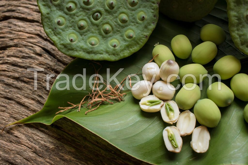 ALL NATURAL LOTUS SEED FROM VIETNAM FOR READY TO EAT HEALTHY SNACKS HERBAL DRINKS AND B2B WHOLESALE BUYERS
