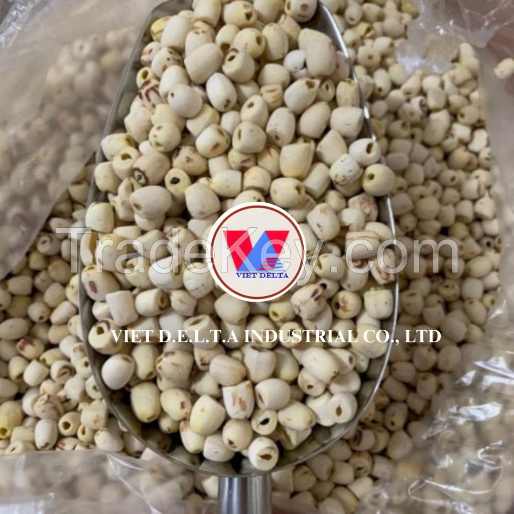 ALL NATURAL LOTUS SEED FROM VIETNAM FOR READY TO EAT HEALTHY SNACKS HERBAL DRINKS AND B2B WHOLESALE BUYERS